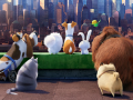 Žaidimas The Secret Life Of Pets Find Objects