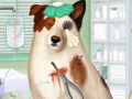 Žaidimas Doctor For Dog With a Blog
