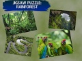 Žaidimas Jigsaw Puzzle Rain Forest 