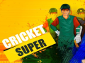 Žaidimas Super Cricket      