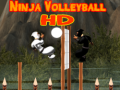Žaidimas Ninja Volleyball HD