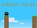 Žaidimas Springy Ninja