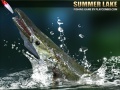 Žaidimas Summer Lake