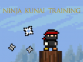 Žaidimas Ninja Kunai Training