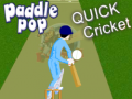 Žaidimas Paddle Pop Quick Cricket