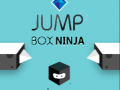 Žaidimas Jump Box Ninja