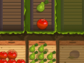 Žaidimas Fruit Gardener