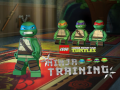 Žaidimas Teenage Mutant Ninja Turtles: Ninja Training