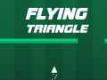 Žaidimas Flying Triangle