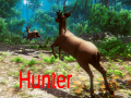 Žaidimas Hunter