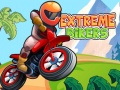Žaidimas Extreme Bikers