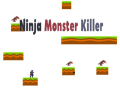 Žaidimas Ninja Monster Killer