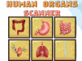 Žaidimas Human Organs Scanner
