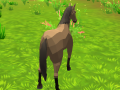 Žaidimas Horse Simulator 3D