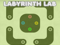 Žaidimas Labyrinth Lab