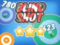 Žaidimas Blind Shot
