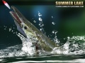 Žaidimas Summer Lake 1.5