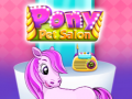 Žaidimas Pony Pet Salon