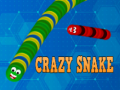 Žaidimas Crazy Snake