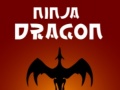 Žaidimas Ninja Dragon
