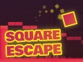 Žaidimas Square Escape