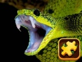 Žaidimas Snake Puzzle Challenge