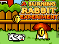 Žaidimas A Burning Rabbit Experiment