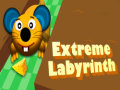 Žaidimas Extreme Labyrinth