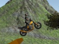 Žaidimas Dirt Bike Rider