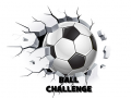 Žaidimas Ball Challenge