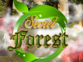 Žaidimas Secret Forest