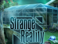 Žaidimas Strange Reality