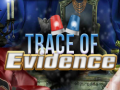 Žaidimas Trace of Evidence