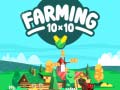 Žaidimas Farming 10x10 