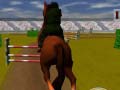 Žaidimas Jumping Horse 3d