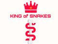 Žaidimas King Of Snakes