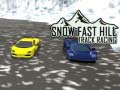 Žaidimas Snow Fast Hill: Track Racing