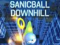 Žaidimas Sanicball Downhill