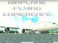Žaidimas Airplane Flying Expierence