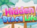 Žaidimas Hidden Beach Life
