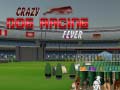 Žaidimas Crazy Dog Racing Fever