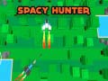 Žaidimas Spacy Hunter