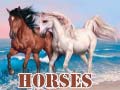 Žaidimas Horses
