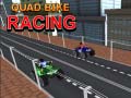 Žaidimas Quad Bike Racing