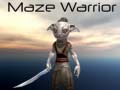 Žaidimas Maze Warrior