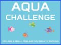 Žaidimas Aqua Challenge
