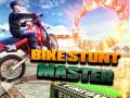 Žaidimas Bike Stunt Master