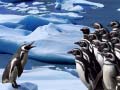 Žaidimas Penguins Slide