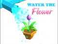 Žaidimas Water The Flower