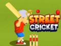 Žaidimas Street Cricket